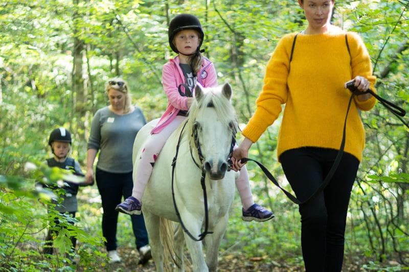 Ridning i skogen.