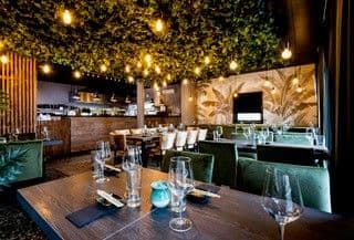 Sushi Teria, Knapstad