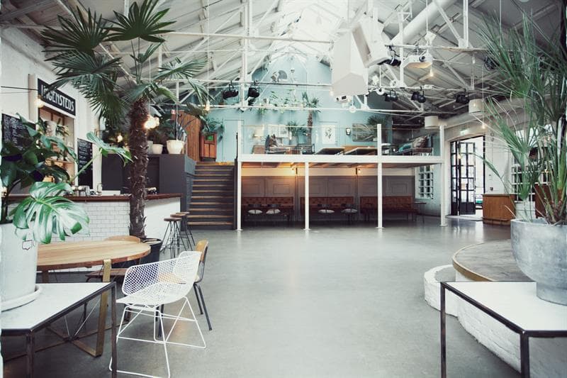 Interiør med høyt tak og masse planter.